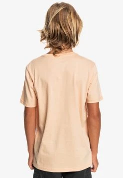 Budget 🛒 Quiksilver UPRISE SS YTH - Print T-shirt - Almond Cream ❤️ -Quiksilver shop 08b9119b3ffc47ea8f1c38d6de2dfd78