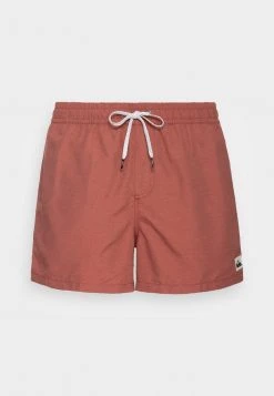 Best reviews of 👏 Quiksilver EVERYDAY VOLLEY - Swimming Shorts - Apple Butter Heather ✔️