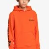 Budget 💯 Quiksilver STIR IT UP HOOD YOUTH - Sweatshirt - Cherry Tomato 🤩 2 Budget 💯 Quiksilver STIR IT UP HOOD YOUTH - Sweatshirt - Cherry Tomato 🤩 -Quiksilver shop 2098931af5364436b91ba00d9ee74b74