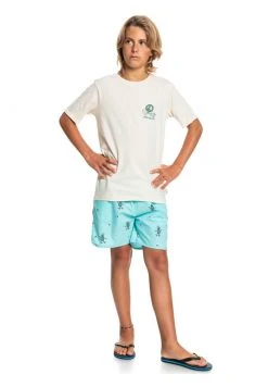 Budget 🔥 Quiksilver NEW WORLD - Print T-shirt - Antique White Heather 🛒 -Quiksilver shop 241202cf789a4380814e954b8f243351