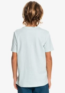 Top 10 ✔️ Quiksilver SCRIPTED GAME - Print T-shirt - Bluegrey 👍 -Quiksilver shop 29bc7f6a24c54491b8d160c0afcc4b87