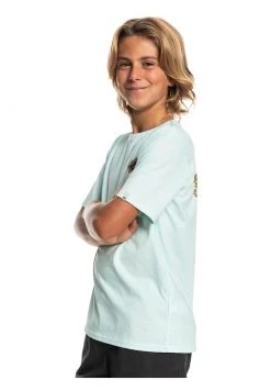 New 🎁 Quiksilver MYTHIC LIMITS MANCHES COURTES - Print T-shirt - Blue Glass 😉 -Quiksilver shop 305c4c1abaf143d98f74c0bd984fedf6