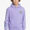 Flash Sale ⭐ Quiksilver RADICAL TIMES HOOD YOUTH - Hoodie - Jacaranda 👏 -Quiksilver shop 35f61f3e4b0f4cf2b459f6ab8bc392da