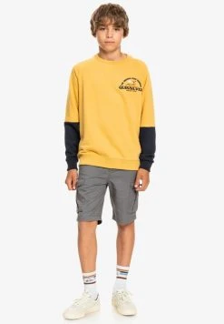 New π Quiksilver Sweatshirt - Rattan β