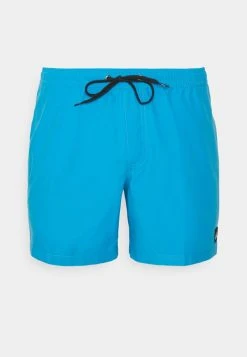Flash Sale π― Quiksilver EVERYDAY VOLLEY - Swimming Shorts - Blithe β€οΈ