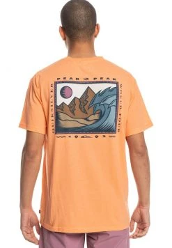 Cheapest 👏 Quiksilver WORLD TOUR - Print T-shirt - Cantaloupe ✨ -Quiksilver shop 53cd7e88b75e4b0dbf6debd02d0b7f28