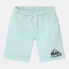 New ⌛ Quiksilver EASY DAY YOUTH - Shorts - Blue Glass 🔥 -Quiksilver shop 6ddb5d95397b4aa0b25828e2ab6884eb