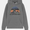 Best reviews of ⭐ Quiksilver BIG LOGO SNOW YOUTH - Sweatshirt - Heather Grey ✨ -Quiksilver shop 6f16a56510b44da8893a58fc8e0e606b
