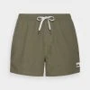Best Pirce 🌟 Quiksilver EVERYDAY VOLLEY - Swimming Shorts - Four Leaf Clover Heather 💯 -Quiksilver shop 6f5928b614a7484f9da15897f0ae14eb