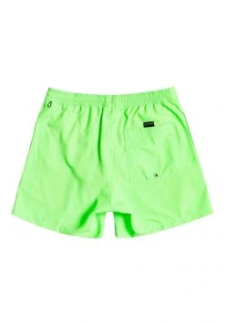 Promo 👍 Quiksilver EVERYDAY VOLLEY YOUTH - Swimming Shorts - Green Gecko 🔔 -Quiksilver shop 728eace0d25f40d8be5bd7c5c36b4e7a