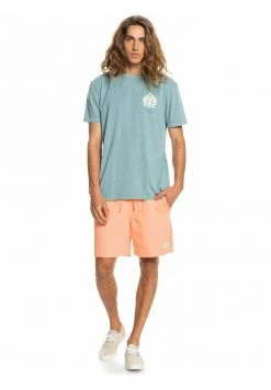 Buy ⌛ Quiksilver Tracksuit Bottoms - Peach Pink 🧨 -Quiksilver shop 7b581a3693ee452a90ddf0e406a52866