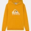 Best deal 🔥 Quiksilver BIG LOGO YOUTH - Hoodie - Golden Rod 👏