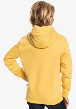Best Pirce 😍 Quiksilver BIG LOGO YOUTH - Hoodie - Rattan ⭐ -Quiksilver shop 985234153ce14a5ca4025edf1c4749b5
