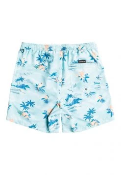 Brand new 😀 Quiksilver EVERYDAY SCENIC - Swimming Shorts - Blue 🛒 -Quiksilver shop 9b2ad1624389461198d7bc006d4e1693