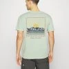 Cheap 🌟 Quiksilver MOUNTAIN RISE TEES - Print T-shirt - Frosty Green 🔔 -Quiksilver shop 9bbd5dd462c643b2aa1435e9d45a71bc