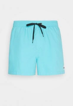 Flash Sale 🤩 Quiksilver EVERYDAY VOLLEY - Swimming Shorts - Pacific Blue 💯