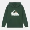 Coupon ✔️ Quiksilver BIG LOGO EDMORE YOUTH - Sweatshirt - Pine 😍 -Quiksilver shop b7769a50d19c4fa18a2bfbc087860fb1