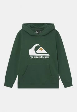 Coupon ✔️ Quiksilver BIG LOGO EDMORE YOUTH - Sweatshirt - Pine 😍