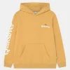 Cheapest 😉 Quiksilver STIR IT UP HOOD YOUTH - Sweatshirt - Rattan 🔔 -Quiksilver shop c6dbf54fc2214bbd923333eeb04edcb1