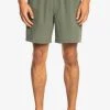 Buy 💯 Quiksilver OMNI STRETCH 17" - Swimming Shorts - Thyme 🥰