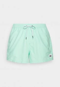 Best Pirce 🎁 Quiksilver EVERYDAY VOLLEY - Swimming Shorts - Beach Glass ✔️