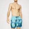 Cheap 🌟 Quiksilver EVERYDAY FLORAL STRIPE - Swimming Shorts - Blue 🔥 -Quiksilver shop d2372c578d074e2dacb64c00323a324d