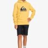 Best Pirce 😍 Quiksilver BIG LOGO YOUTH - Hoodie - Rattan ⭐ -Quiksilver shop d472d3f312784bac85c1f7515eddbdf1
