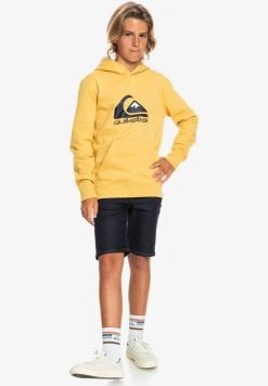 Best Pirce 😍 Quiksilver BIG LOGO YOUTH - Hoodie - Rattan ⭐
