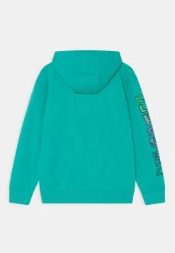 Best Pirce 🎉 Quiksilver RADICAL TIMES HOOD YOUTH - Hoodie - Pool Green 🧨 -Quiksilver shop e1b0e5aa39c846b8bd5c140f638493ab