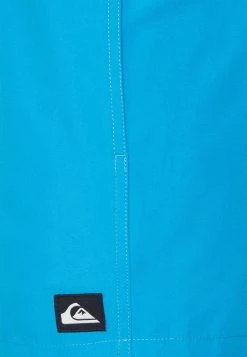 Flash Sale 💯 Quiksilver EVERYDAY VOLLEY - Swimming Shorts - Blithe ❤️ -Quiksilver shop e413371876274e6c86caa01500bc8caa