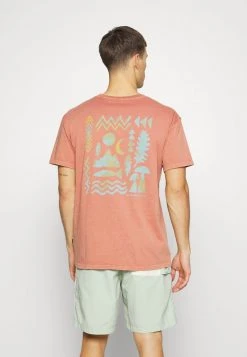Top 10 ✔️ Quiksilver TRAIL MAP TEES - Print T-shirt - Aragon 🛒 -Quiksilver shop fad643c6dc26466696091ed02e39fbd7